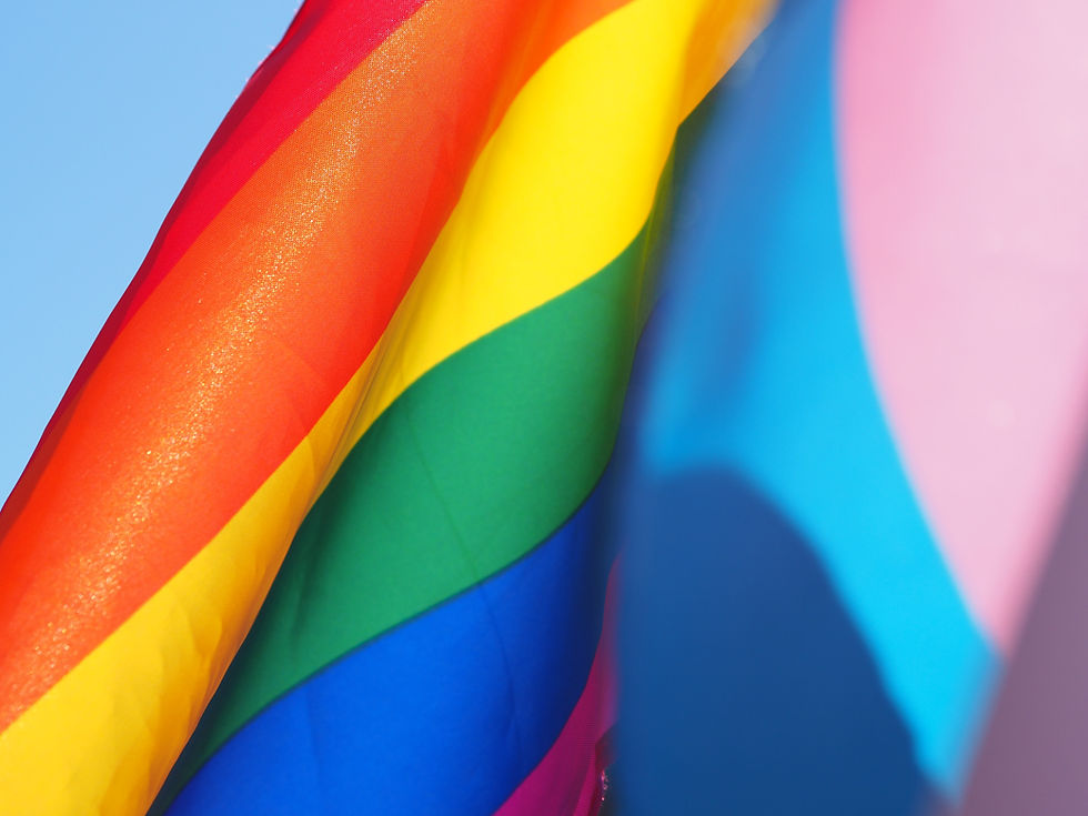 Stay In Your Lane During Pride Month